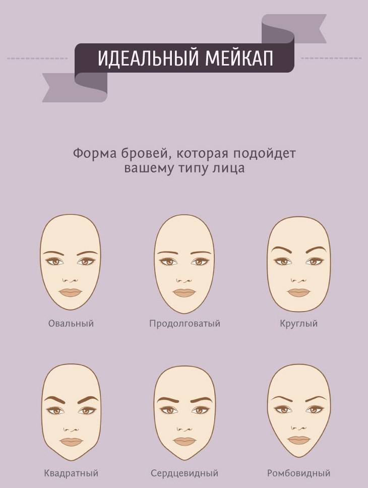 Форма бровей по типу лица: схема, ошибки (фото)