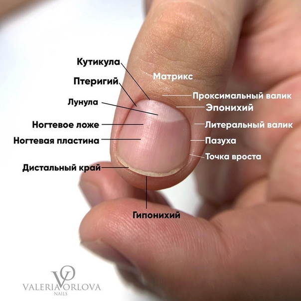 Как ускорить рост ногтей