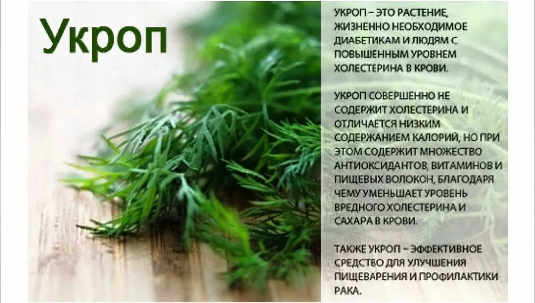 «молодильные яблоки» для кожи или способы омоложения — блог effi