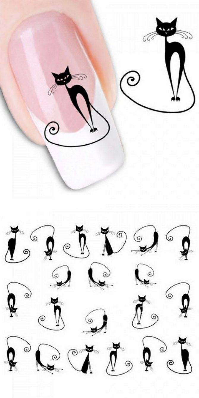 Дизайн ногтей с кошками и котятами: интересные идеи, методы создания