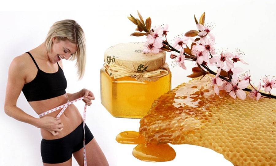 Лишний вес и мед: сколько съесть, чтобы похудеть?
