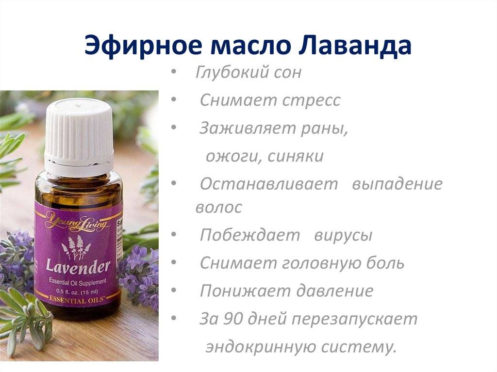 Польза эфирного масло лаванды для волос. способы применения и лучшие рецепты | volosomanjaki.com