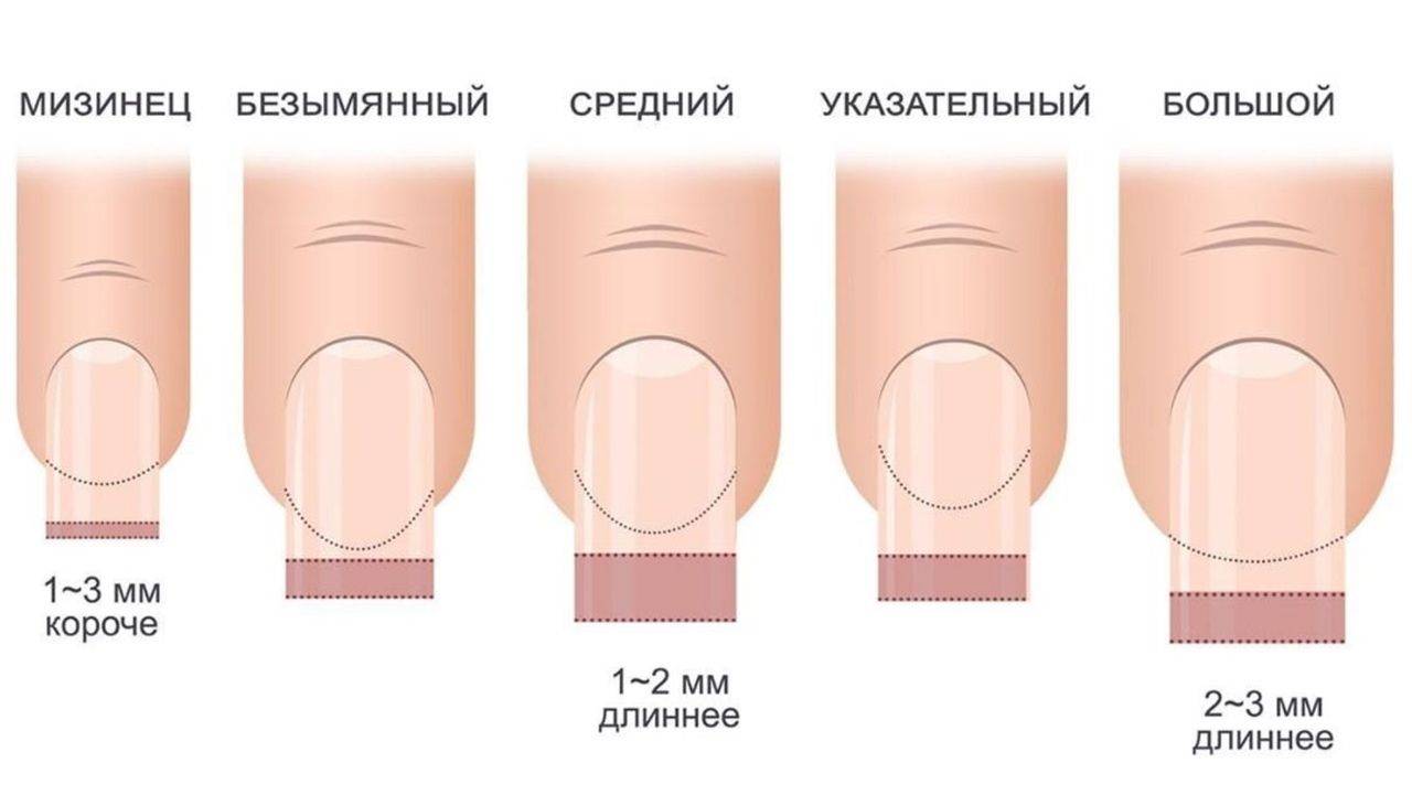 Размеры ногтей от 1 до 5 и оптимальная длина