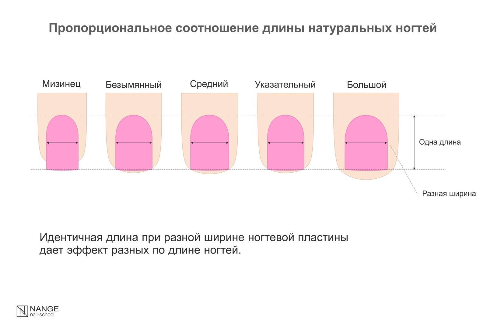 Длина ногтя: есть ли предел совершенству? | белорусский женский портал velvet.by