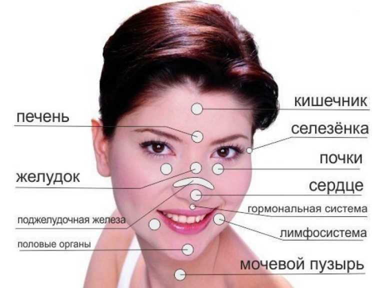 Уз «могилевская городская больница скорой медицинской помощи»