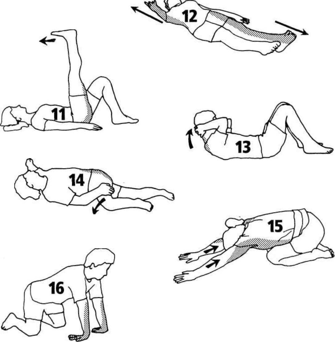 Топ-20 упражнений на растяжку спины для начинающих