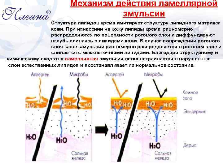 Эмульсия чем разница. Строение ламеллярной эмульсии. Структура ламеллярной эмульсии. Ламеллярная эмульсия схема. Ламеллярная структура кожи.