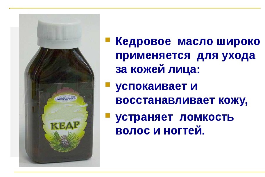 Кедровое масло для лица - польза и применение