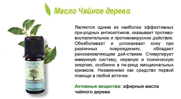 Эфирное масло чайного дерева — полезные свойства и применение для кожи лица