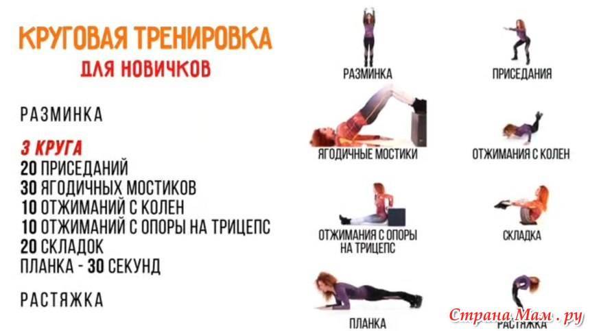 Разминка и кардио тренировки | школа фитнеса (хабаровск)