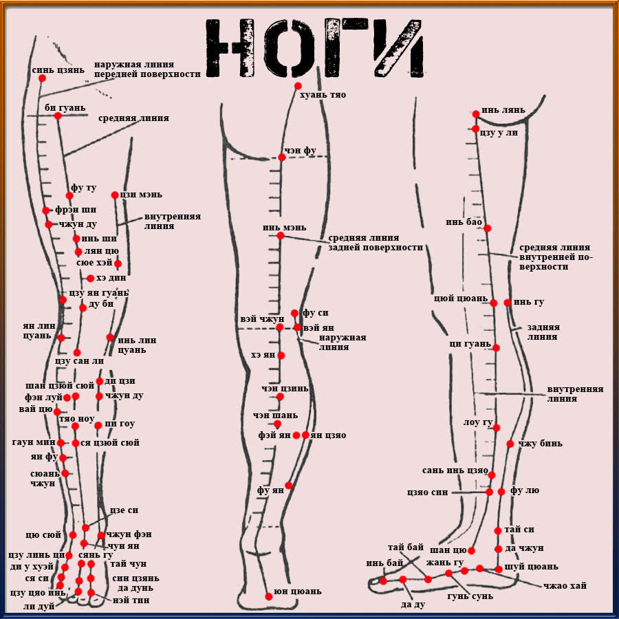 Точки и их значение. Точки на ногах голени акупунктура. Акупунктурные точки коленного сустава. Точки Цзу Сан ли и Сан Инь Цзяо. Точка си-Ян-Гуань.