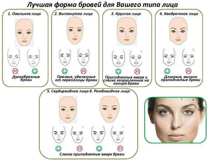 Форму бровей по типу лица, определяем подходящую форму