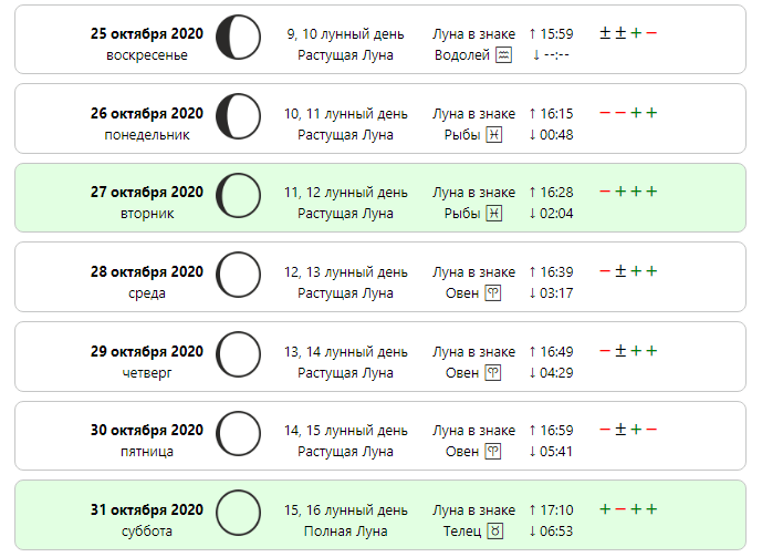 Lunar sowing calendar for January 2022 for gardener, gardener and flower grower 