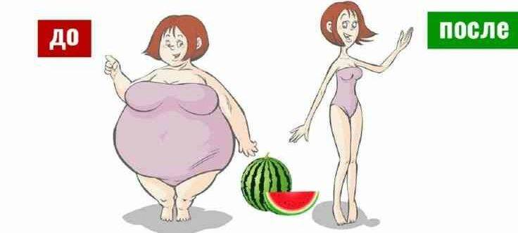 Арбузная диета для похудения: вся правда, её минусы и отзывы пострадавших