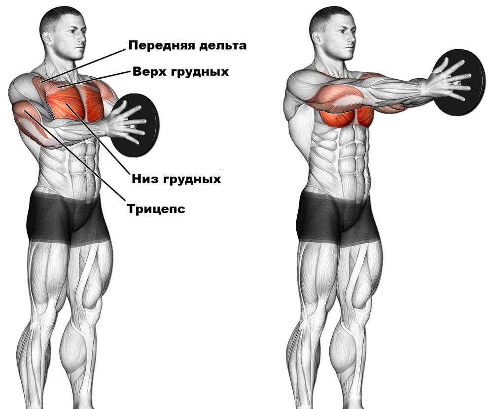 лучшая программа на грудь фото 30