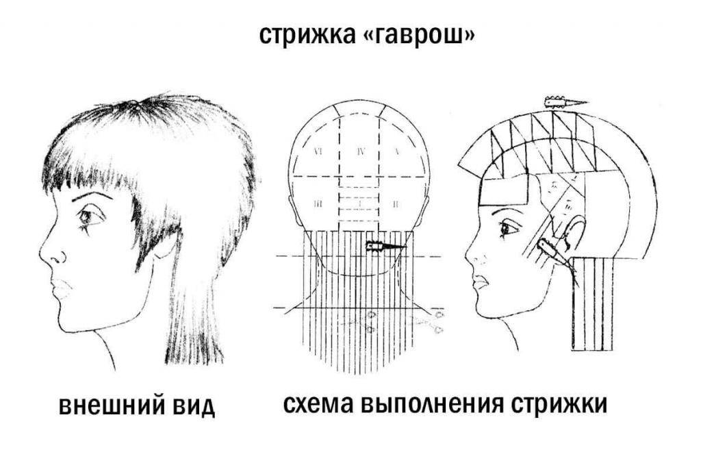 Стрижка ирокез: описание с фото, схема стрижки, разнообразие вариантов прически и особенности ухода за волосами - luv.ru