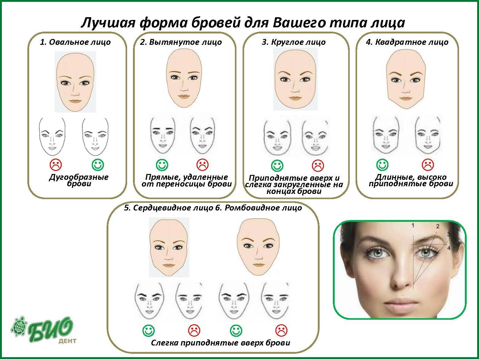 Виды бровей. как подобрать форму бровей по типу лица - janet.ru