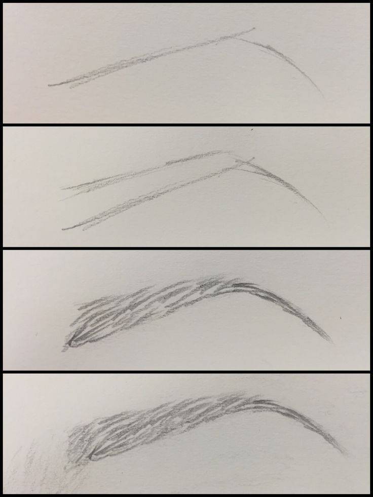 Как правильно нарисовать идеальные брови карандашом поэтапно для начинающих дома