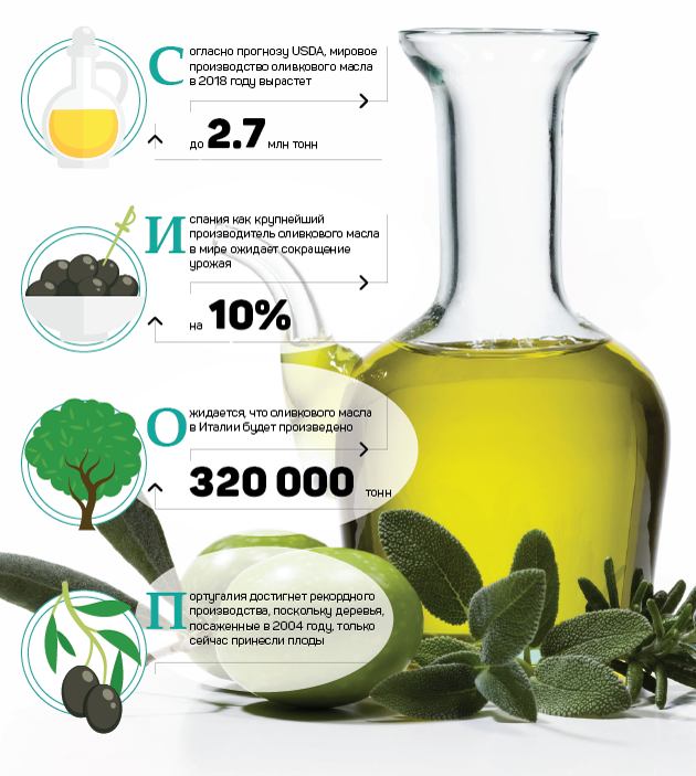 Оливковое масло имеет. Оливковое масло производители. Завод оливкового масла. Сорта оливкового масла. Крупнейший производитель оливкового масла.