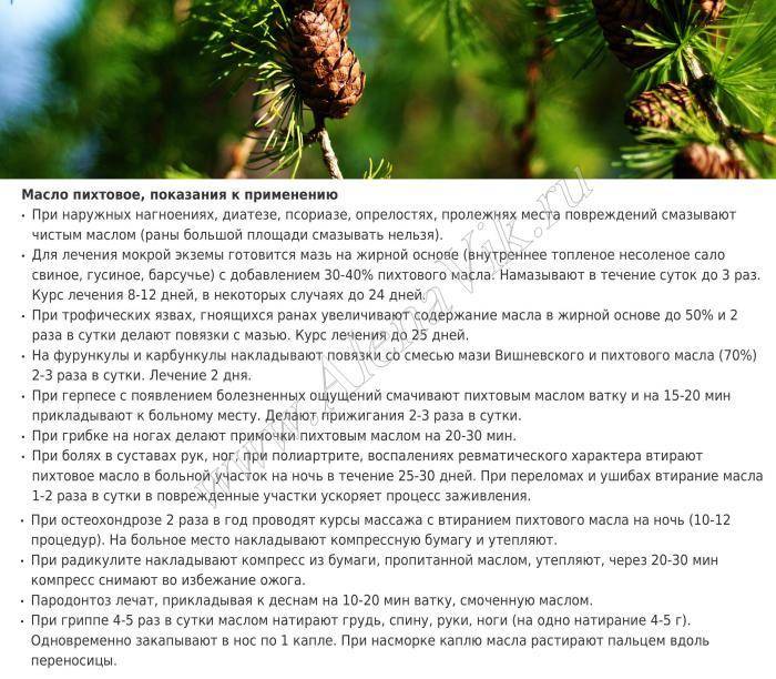 «молодильные яблоки» для кожи или способы омоложения — блог effi