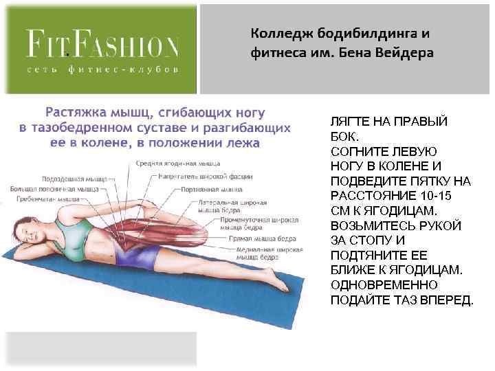 Подвздошно-поясничная мышца: где находится, эффективные упражнения на ее растяжку - tony.ru