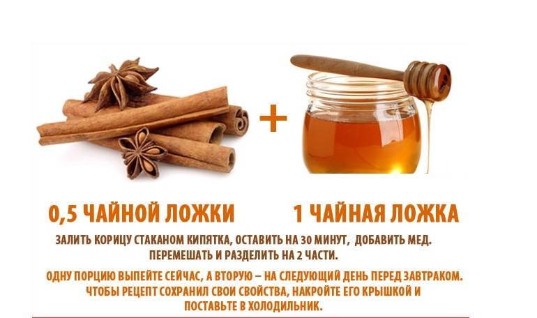 Корица с медом для похудения: отзывы, результаты, рецепты приготовления :: syl.ru