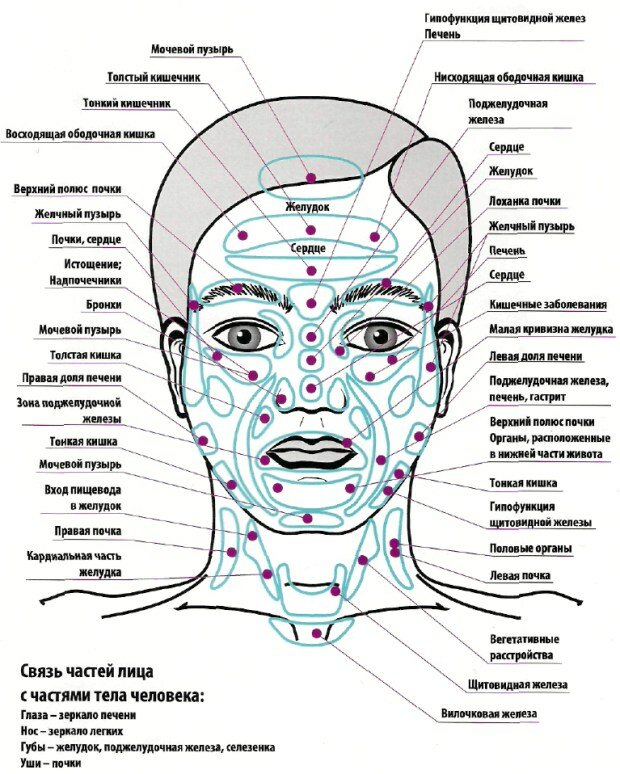 Карта прыщей на лице у женщин, шее, теле. Что означают, причины по зонам, органам