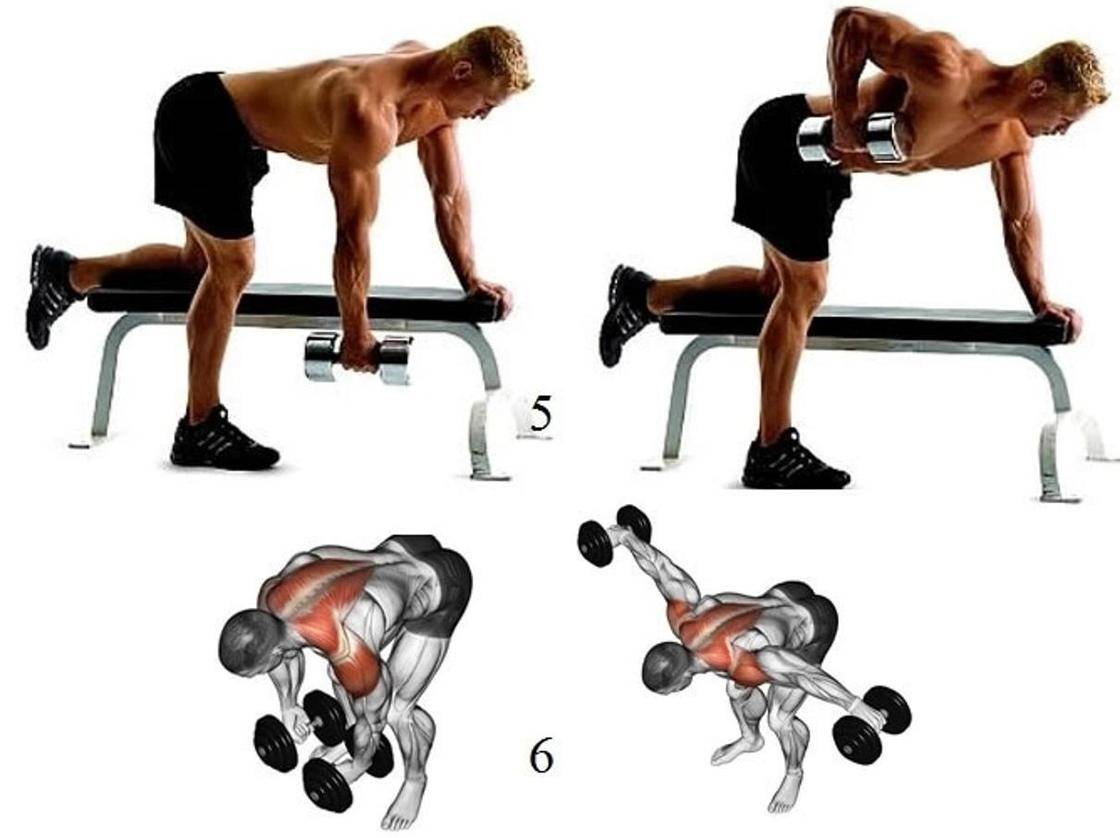 Упражнения с гантелями для укрепления широчайших мышц спины