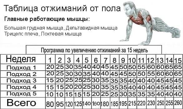 Тренировочный комплекс упражнений с гантелями для того, чтобы накачать бицепсы