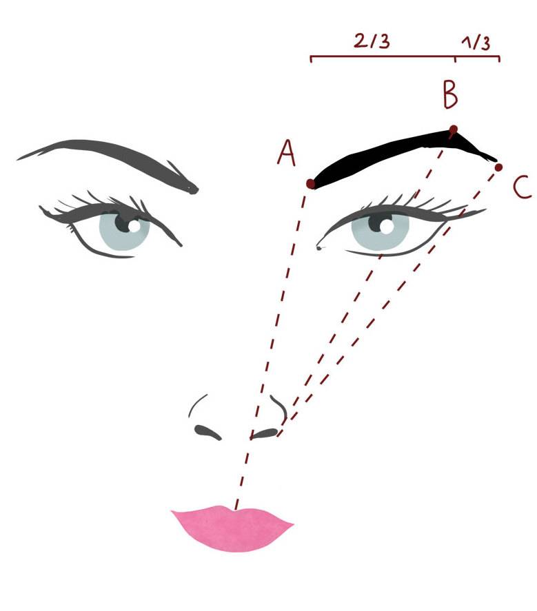 Правильная форма бровей как сделать схема