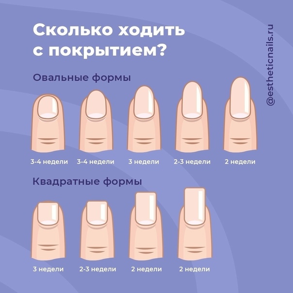 Нарощенные ногти: их виды и формы - длинные и короткие, двойка и единичка