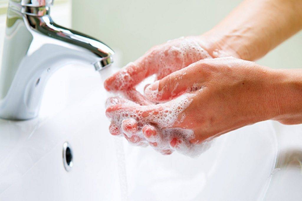 Чистые руки — грязные? | статья в журнале «юный ученый»