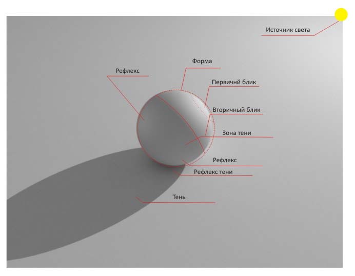 Свет тень полутень рефлекс блик в рисунке