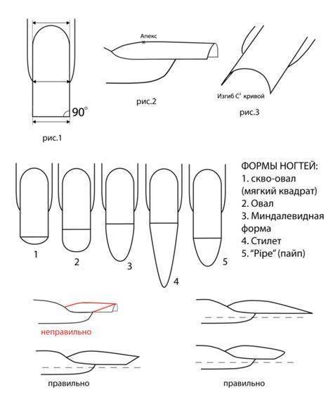 О форме ногтей в домашних условиях: как сделать ногти, придав им красивую форму