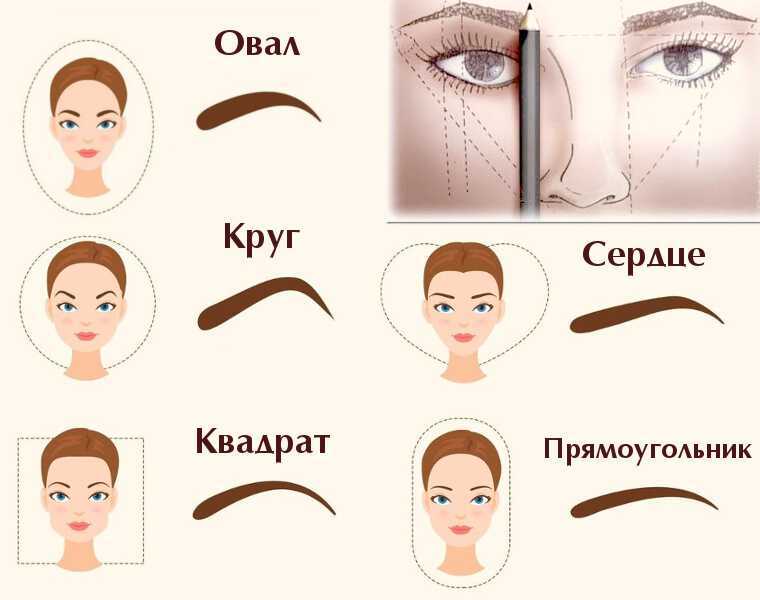Форма бровей по типу лица: как выбрать подходящую- beauty hub