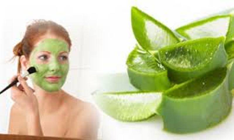 Эффективные маски из алоэ для лица от морщин — рецепты красоты