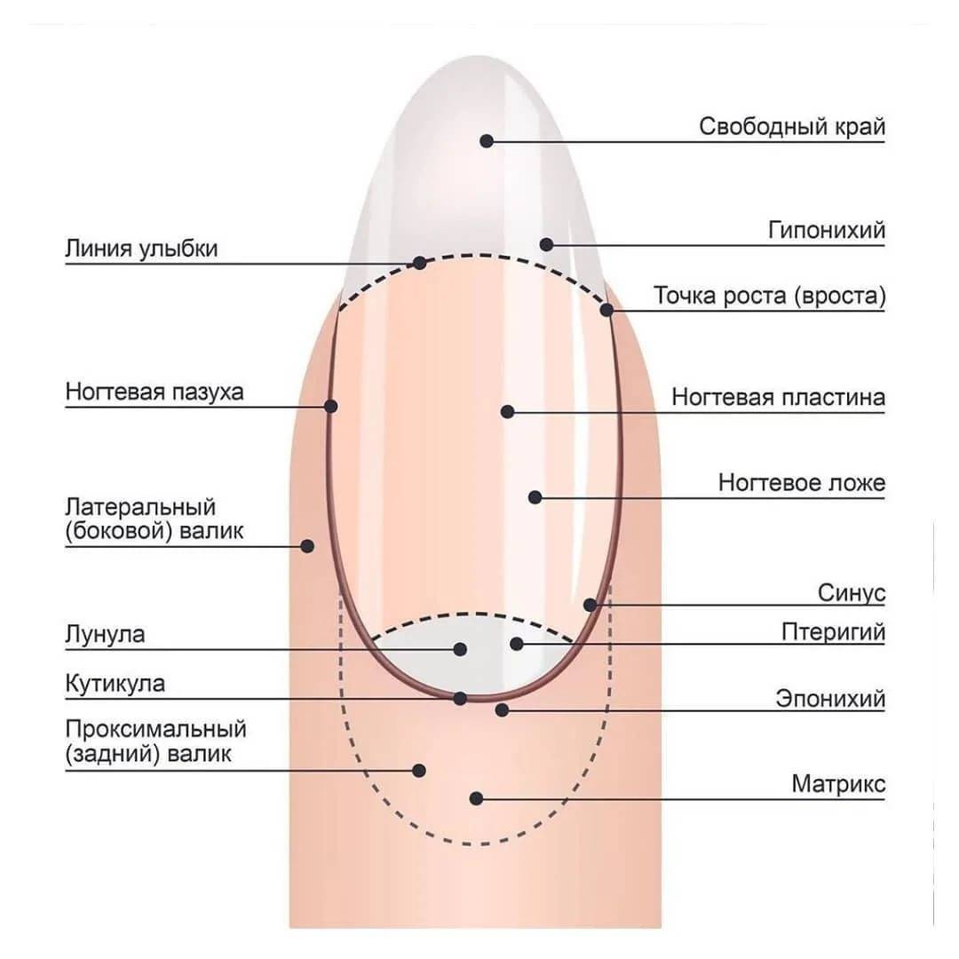 Картинки для ногтей как называется