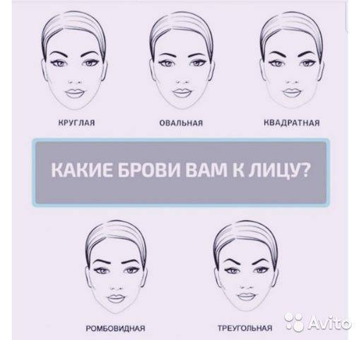 Форма бровей по типу лица. как подобрать форму бровей? :: syl.ru