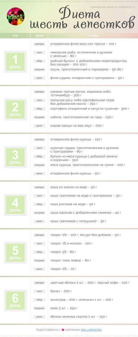 Диета «6 лепестков»: меню на каждый день, отзывы и результаты | poudre.ru