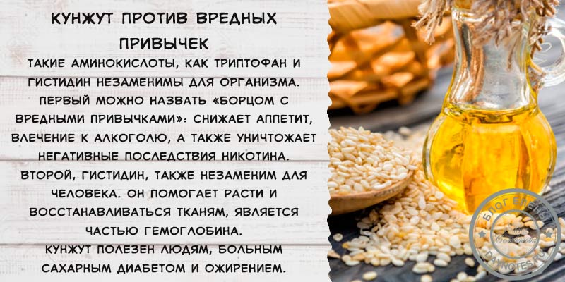 Мифы о кунжутном масле и самые полезные рецепты