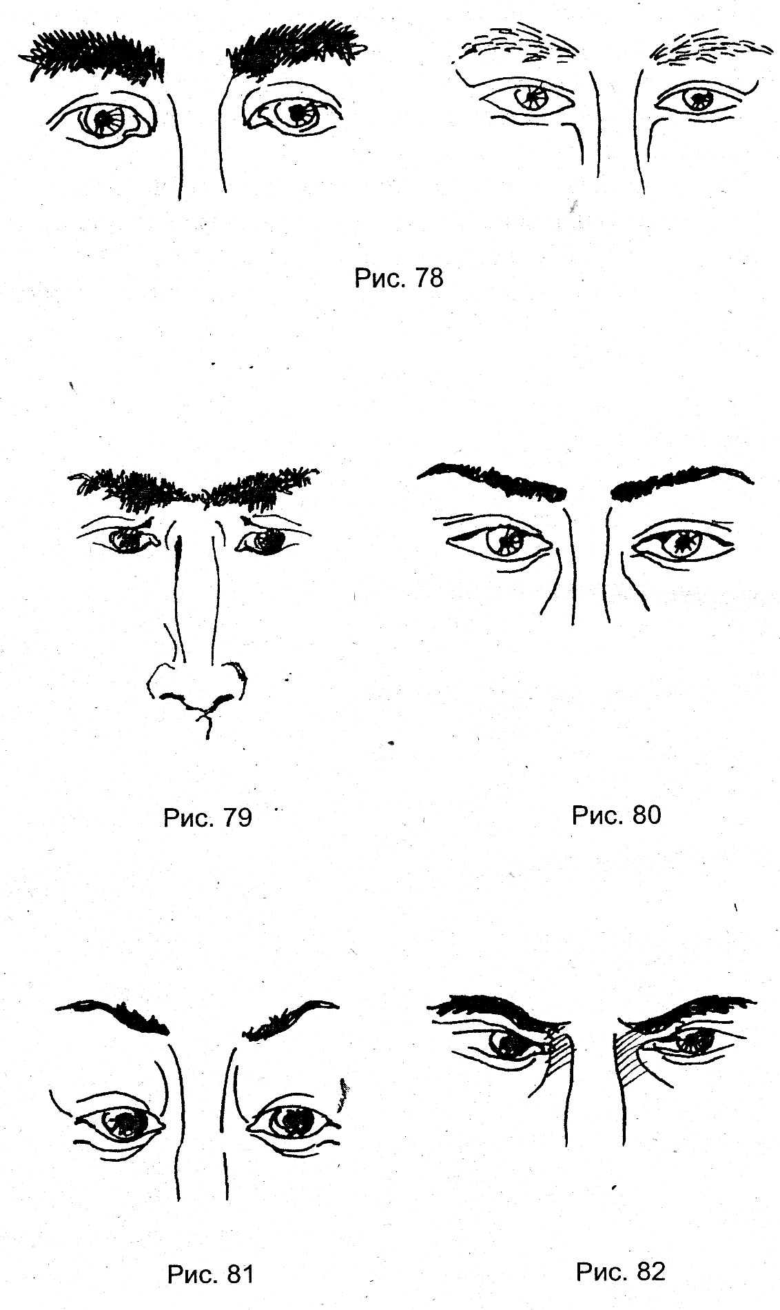 Формы бровей по типу формы лица: фото, правила подбора