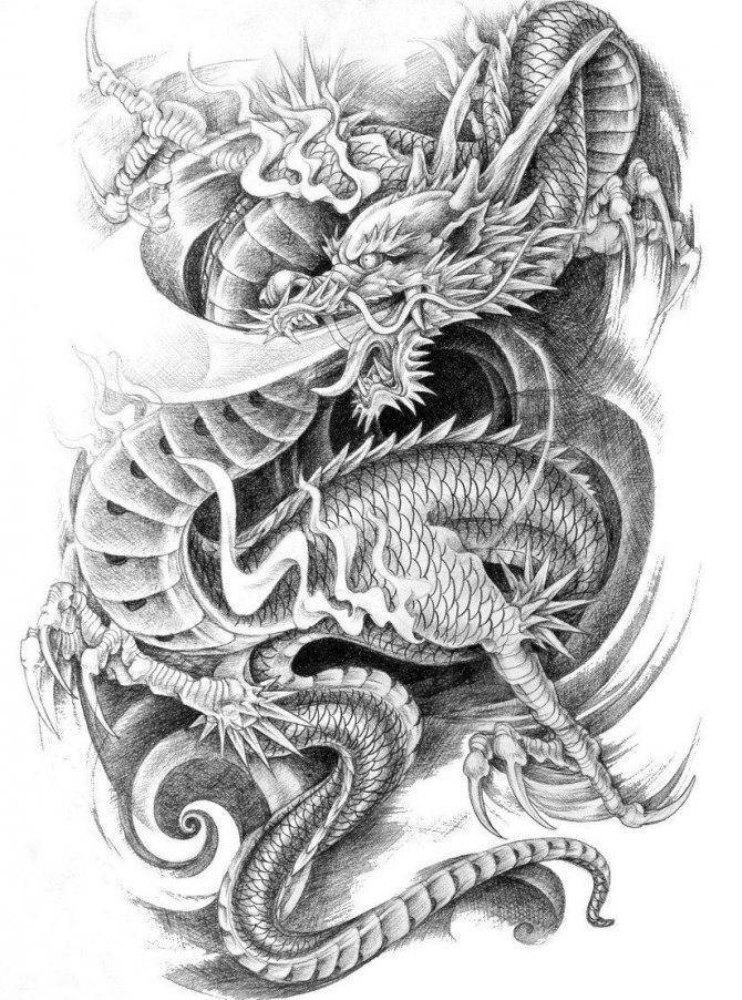 Тату в японском стиле. эскизы на руке, рукав, ноге, спине: дракон, карп, тигр, змея, рыбы, самурай, цветы, лиса, маска, феникс. фото