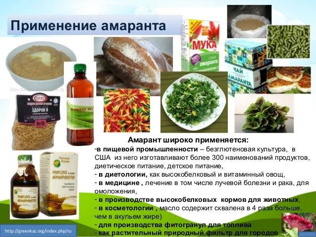 Польза применение. Продукты из амаранта. Амарант применение. Продукты с амарантом. Амарантовое масло для чего применяется.