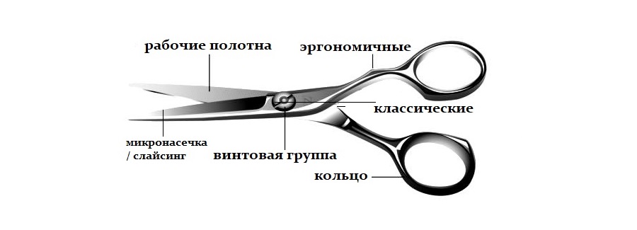 Как выбрать ножницы для парикмахера