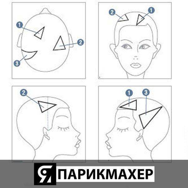 Тонирование волос в салоне: подробное описание процедуры