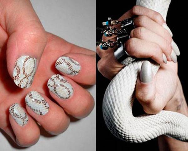 Маникюр со змеей: создаем опасный змеиный дизайн