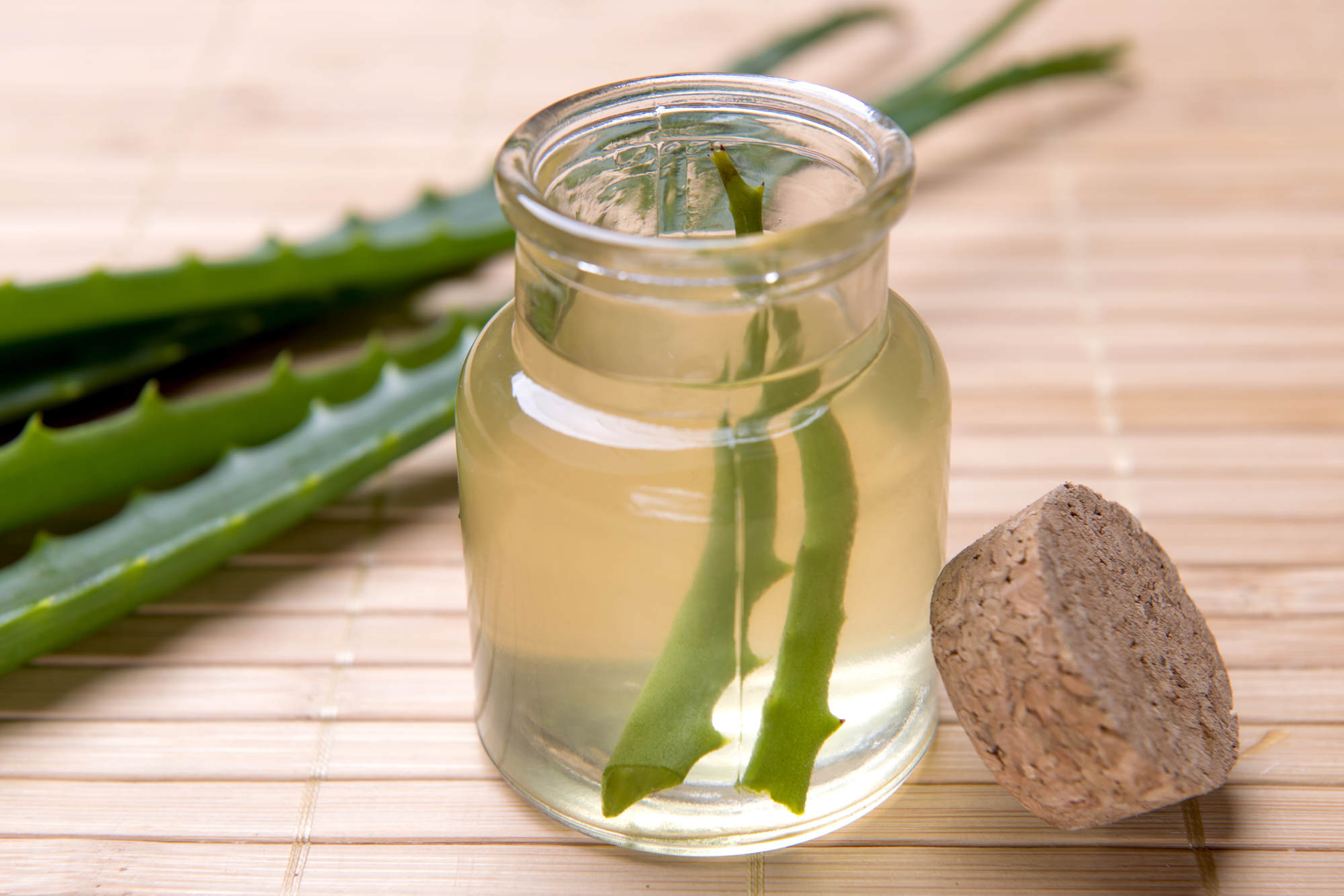 Алоэ колит. Aloe Vera. Настой алоэ. Отвар алоэ.