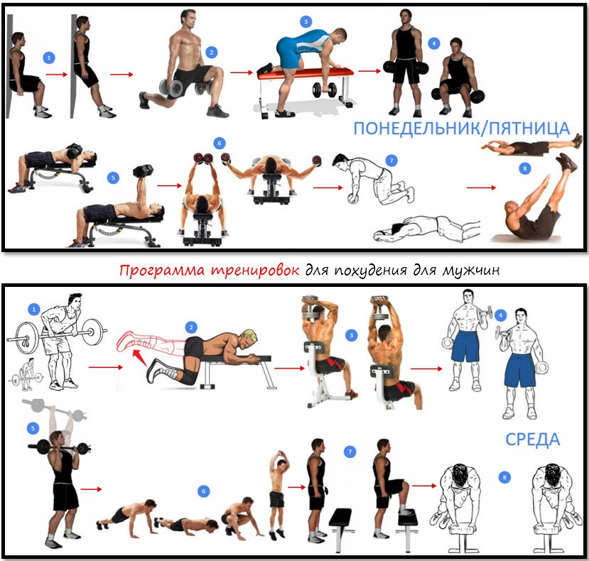 План тренировок на все группы мышц на неделю