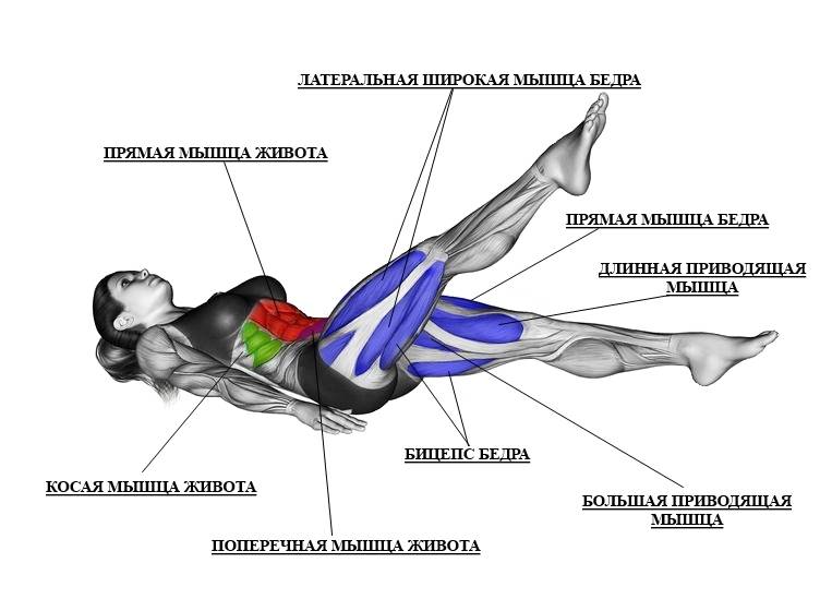 Упражнение ножницы для ног: какие мышцы работают, польза, как делать