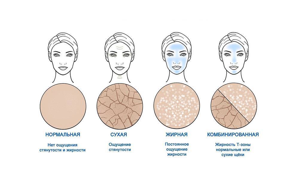 Типы кожи лица и их характеристика
